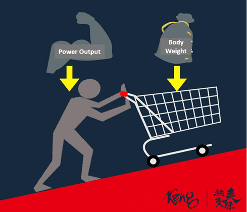 Power input vs body weight