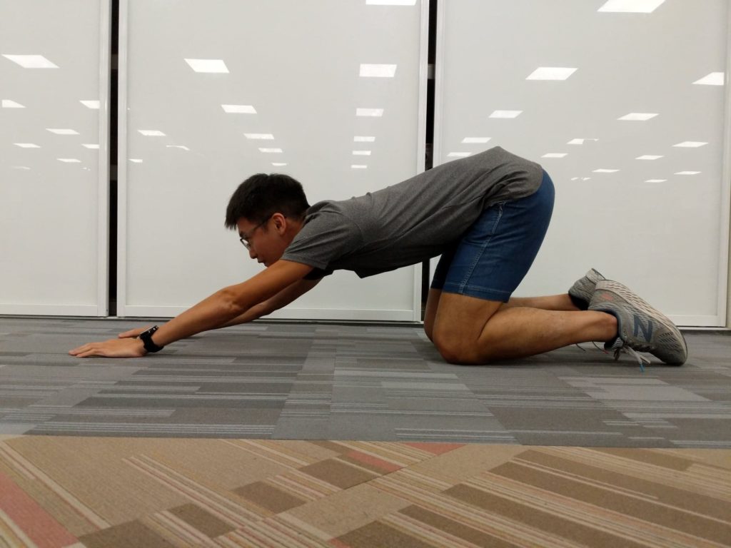 cat pose