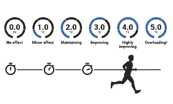 Training Effect