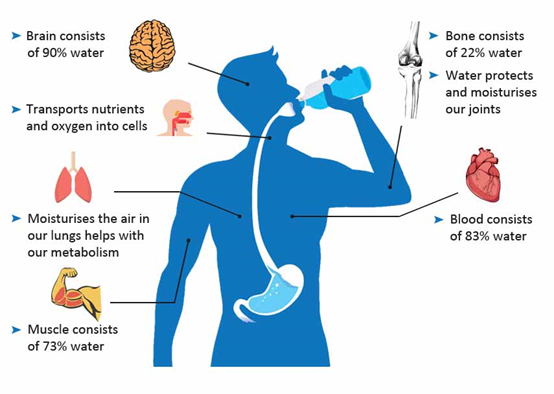 water-consistency