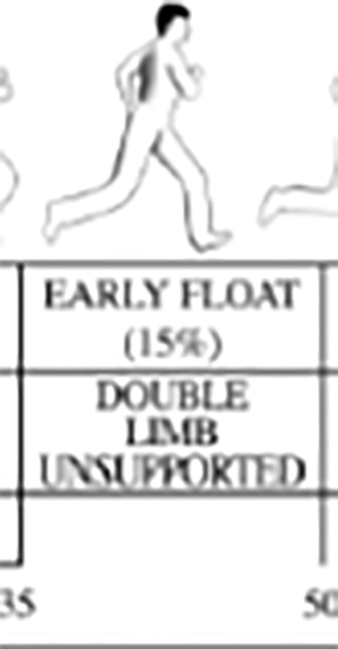 double-limb-unsupported